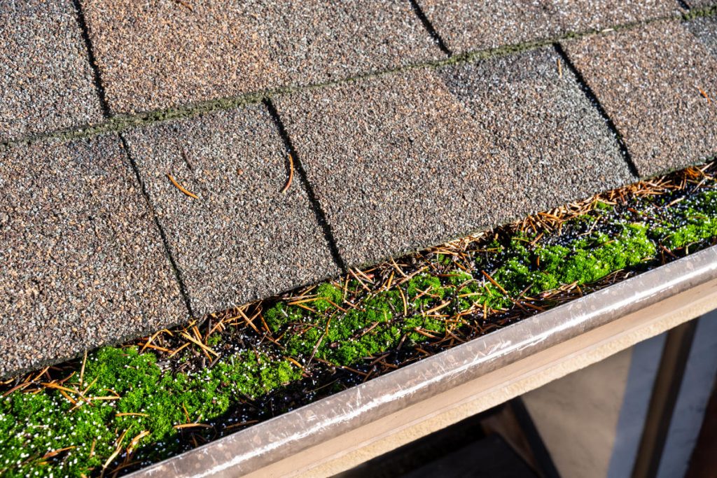 Detail of roof shingles and clogged gutter.